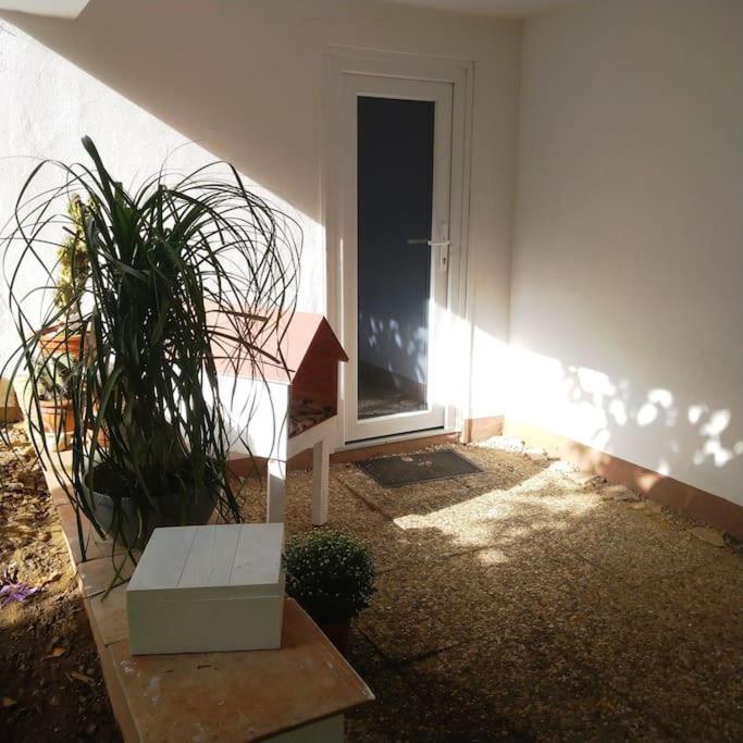 Carlchens Casa Apartment Reinhardshagen Bagian luar foto