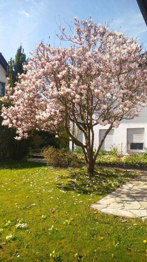 Carlchens Casa Apartment Reinhardshagen Bagian luar foto