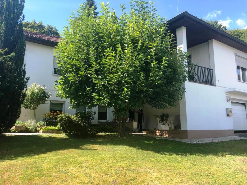 Carlchens Casa Apartment Reinhardshagen Bagian luar foto